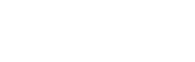 DPL19
